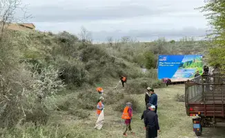 ТУРКЕСТАН: САУРАН РЕГИОН УЧАСТВУЕТ В ЭКОЛОГИЧЕСКОЙ АКЦИИ «ТАЗА ҚАЗАҚСТАН»