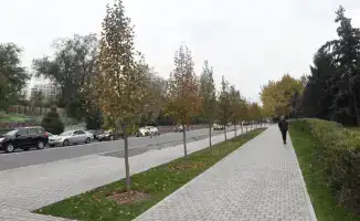 Более 1000 рабочих и 230 единиц спецтехники обеспечивают уборку и благоустройство Алмалинского района Алматы