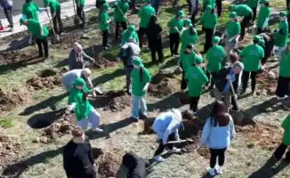 В Павлодарской области более 200 тысяч человек приняли участие в акции по озеленению и очистке территорий