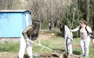 Алматы: новая аллея для журналистов и природы