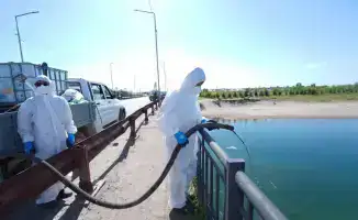 ДЕЗИНСЕКЦИЯ ПРОТИВ МОШКИ В ОТЫРАРСКОМ РАЙОНЕ: СПЕЦИАЛИСТЫ НАЧАЛИ РАБОТУ