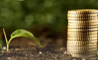 Раннее финансирование посевной 2026 года доступно для 3287 аграриев