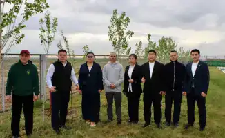 В реабилитационном центре «Самғау» высажены деревья в рамках акции «Таза Қазақстан»