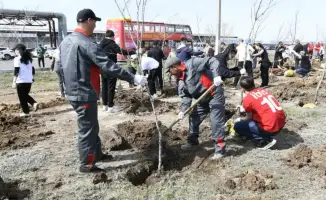 Участие представителей гостиничного и ресторанного бизнеса в акции по озеленению в Астане