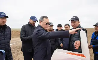 Переход от пастбищ к орошаемым землям: влияние на развитие аграрного сектора Жамбылского района