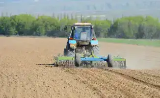 Аграрная активность в Жетісу: фермеры готовятся увеличить посевные площади до 511,8 тысяч гектаров
