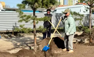 Сообщество Астаны объединяется для озеленения города в рамках акции «Таза Қазақстан»