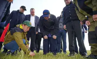 Казахстан: меньше гектаров, больше контроля над саранчой!