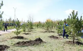 1500 деревьев: зелёная революция в Караганде!