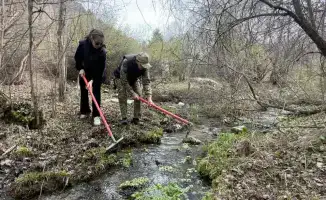 Сообщество объединяется для очистки природных источников в Сайрамсуском ущелье