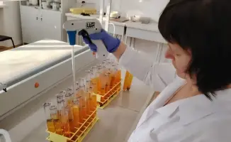 В Казахстане учёные патентуют новые засухоустойчивые сорта растений с увеличением урожайности до 10 ц/га