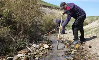 Алатау: как старшее поколение вдохновляет молодежь на чистоту