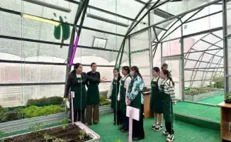 Зеленый урок: как теплица в Астане стала классом для будущих защитников природы