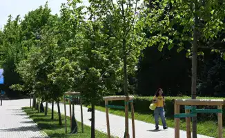 Четырехэтапная биологическая обработка зеленого фонда в Алматы