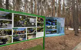 Щучинск: экопарк вместо бетона и асфальта!