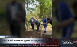 Посадка клена в честь 90-летия ветерана из Шымкента: символ долголетия и заботы о будущем поколения