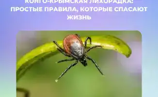 Конго-Крымская геморрагическая лихорадка меры профилактики и защита