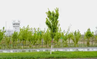 В Туркестанской области стартовали работы по созданию экопарка на 50 гектаров