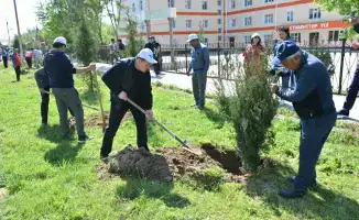 Звёзды эстрады на субботнике: чистим вместе!