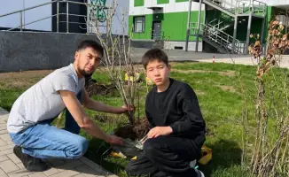 Сад будущего: деревья и ценности в школьном дворе