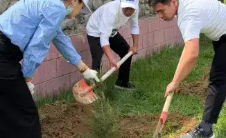 Саженцы надежды: в Туркестанской области озеленяют землю в рамках проекта 'Таза Қазақстан'