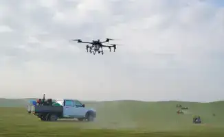 Туркестанская область против нашествия саранчи