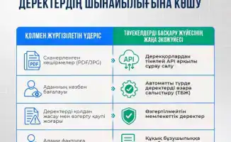 Лицензии для туроператоров: автоматизация, которая превращает бюрократию в легкий ветерок