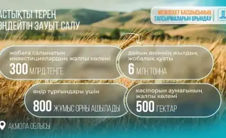 В Акмолинской области начнется строительство завода по глубокой переработке зерна с инвестициями в 300 млрд тенге