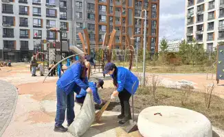 Сотрудники BI Group активно участвуют в уборке Астаны, способствуя улучшению городской экологии