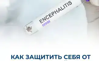 Увеличение случаев укусов клещей в Казахстане: врачи предупреждают о необходимости вакцинации