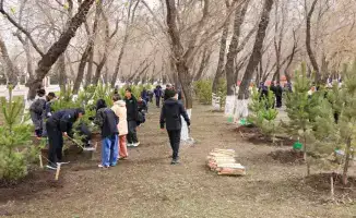 Посадка 400 деревьев в Караганде для улучшения экологии