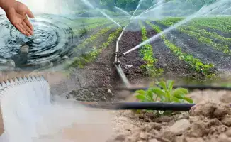 Министерство объявляет о новых мерах по субсидированию водосберегающих технологий для фермеров