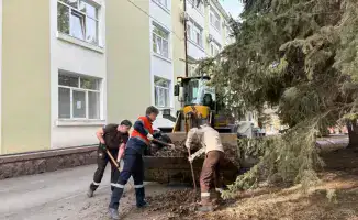 Глобальное сообщество объединяется в борьбе с мусором: жители Риддера собрали более 5 тонн отходов