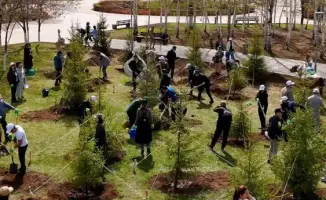 Высадка 300 деревьев в парке «Ататюрк»: вклад жителей в устойчивое развитие городской экологии