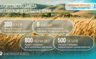 Казахстан утверждает инвестиционное соглашение на строительство завода по переработке зерна, укрепляя продовольственную безопасность страны