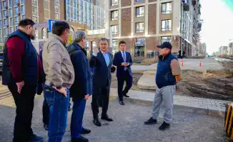 Зеленый океан Астаны: миллион новых насаждений преобразит город в этом году