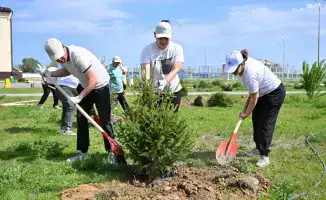 Сад нашего края: вместе уберем мусор!