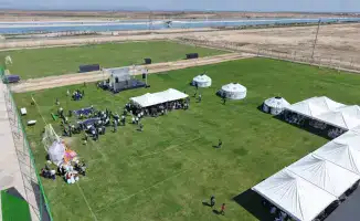 Наурыз в Туркестане: праздник света и традиций!