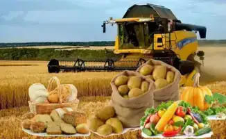 Промышленное производство продуктов питания в Казахстане выросло на 11,9% в начале 2026 года, достигнув 665 миллиардов тенге