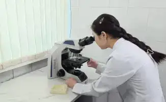 В Семее открыли современный селекционный центр овцеводства для улучшения пород