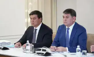 Туркестанская область: высажено 31 тыс. саженцев, вывезено 2 тыс. тонн мусора, стартует акция "Таза аула"