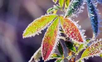 Поворот в деле Жанабыловых: Казахстан вводит новые тенге и замораживает активы