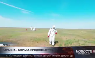 Создание штаба по борьбе с саранчой в Туркестанской области: меры для защиты сельского хозяйства и предотвращения экономических потерь