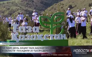 За один день акции «Таза Қазақстан» в области посадили 20 тысяч деревьев, что вызвало положительную реакцию среди местных жителей и экологов. Многие отметили важность таких мероприятий для улучшения экологической обстановки и сохранения природы.