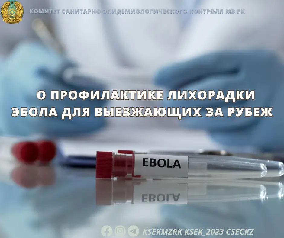 На грани риска: как избежать встречи с лихорадкой Эбола за пределами родины