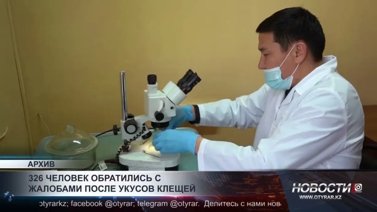 Укус клеща привел к 326 случаям обращения за медицинской помощью: возможные последствия для здоровья под угрозой
