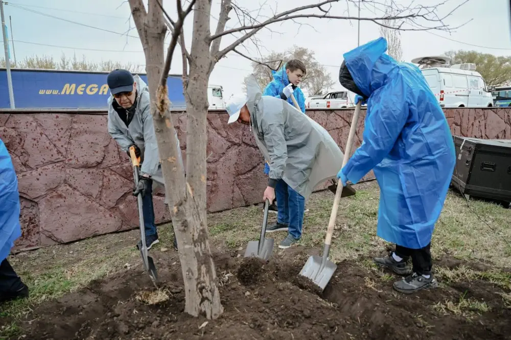 Пестрое: высажено 70 тысяч деревьев в области