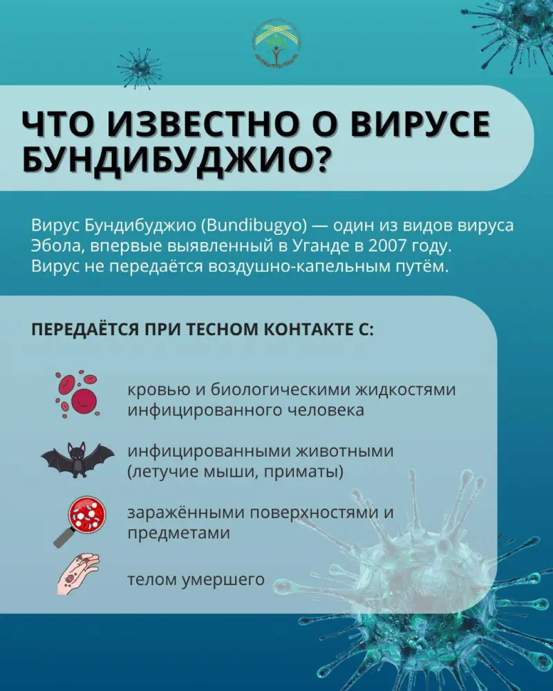 Эбола: советы для поездок в Конго и Уганду