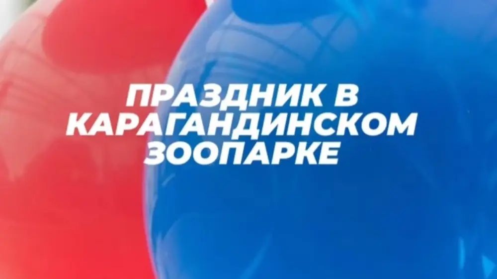 Международный праздник для детей: Пенное шоу и фокусы в зоопарке Караганды 1 июня