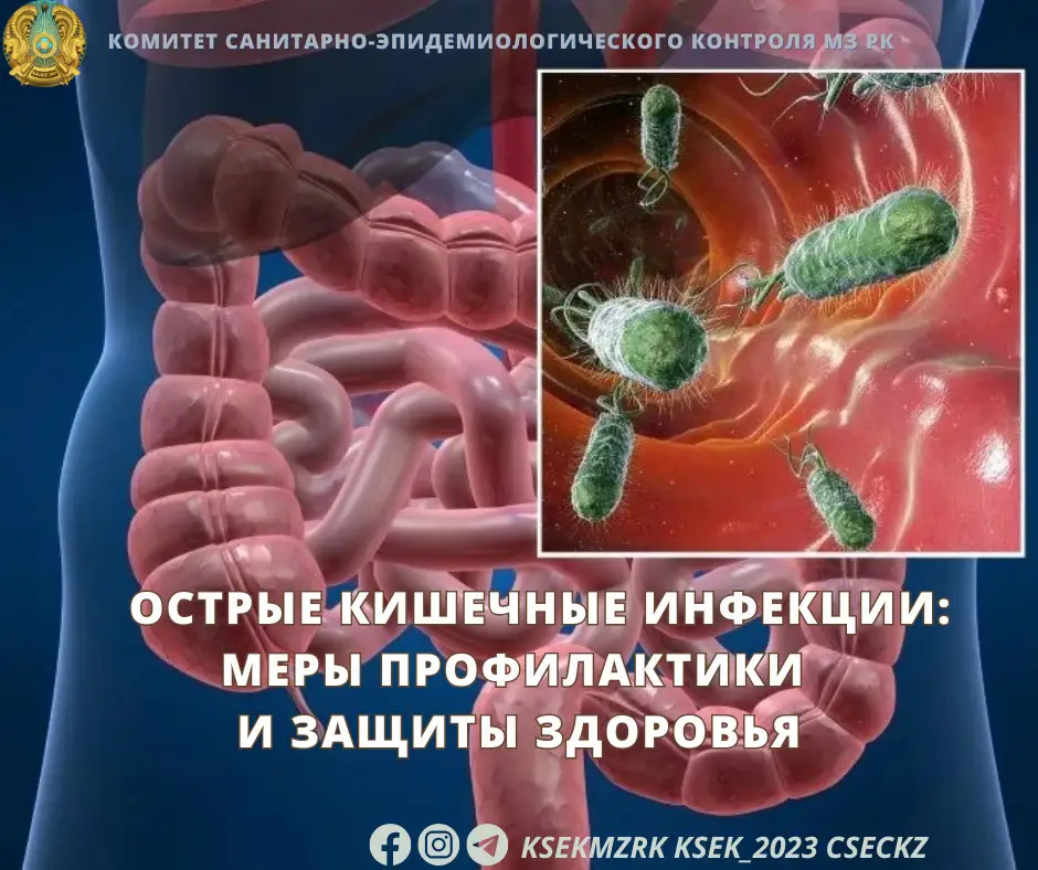 Профилактика острых кишечных инфекций: важные меры для защиты здоровья